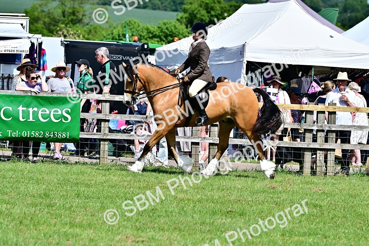 SBM_08000 - Class 61-62 - TSR  M&M Ridden Amateur of the Year