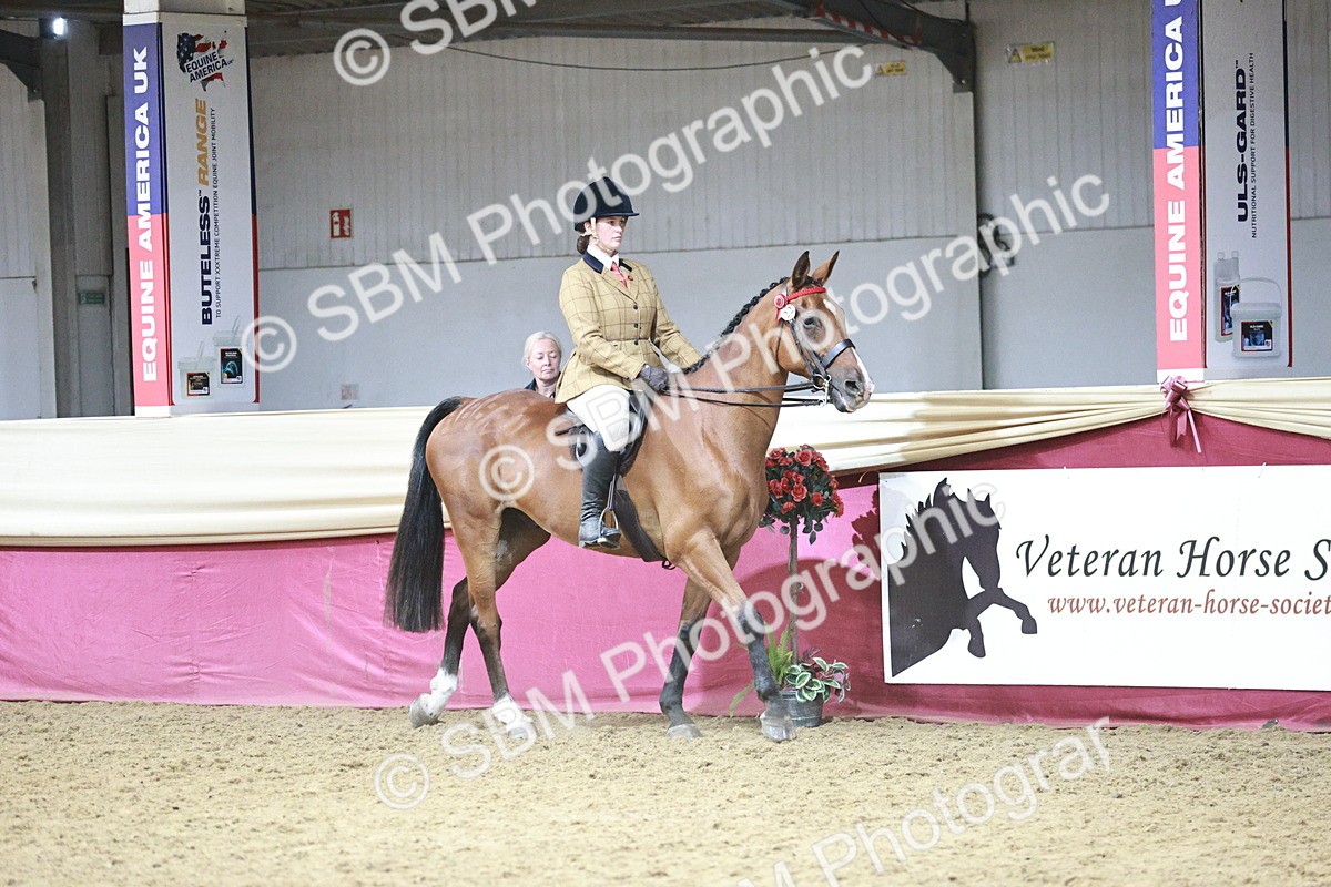SBM_07998 - Class 11R - Regional Ridden Veteran