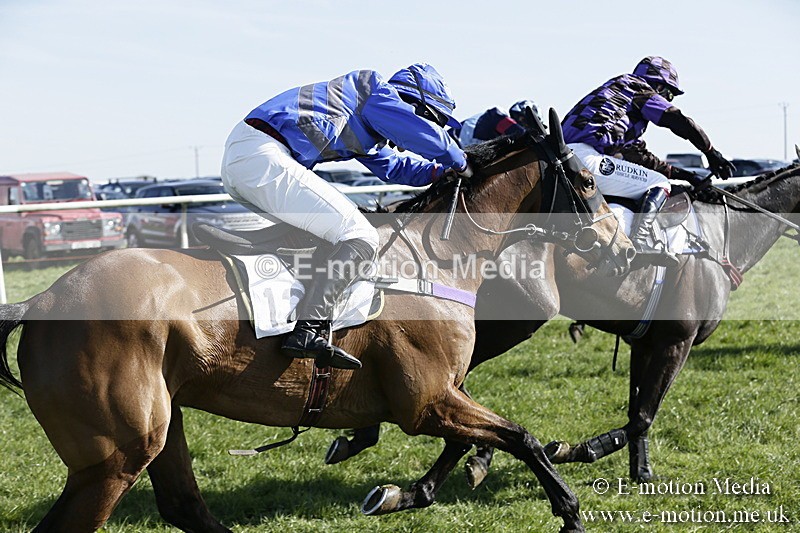 PtP 260317 227 - Mendip Farmers Point-to-Point Ston Easton 26/03/17