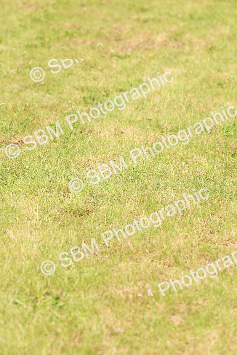 SBM_13827 - Class 206 - Senior Newcomers - 1.10m Open