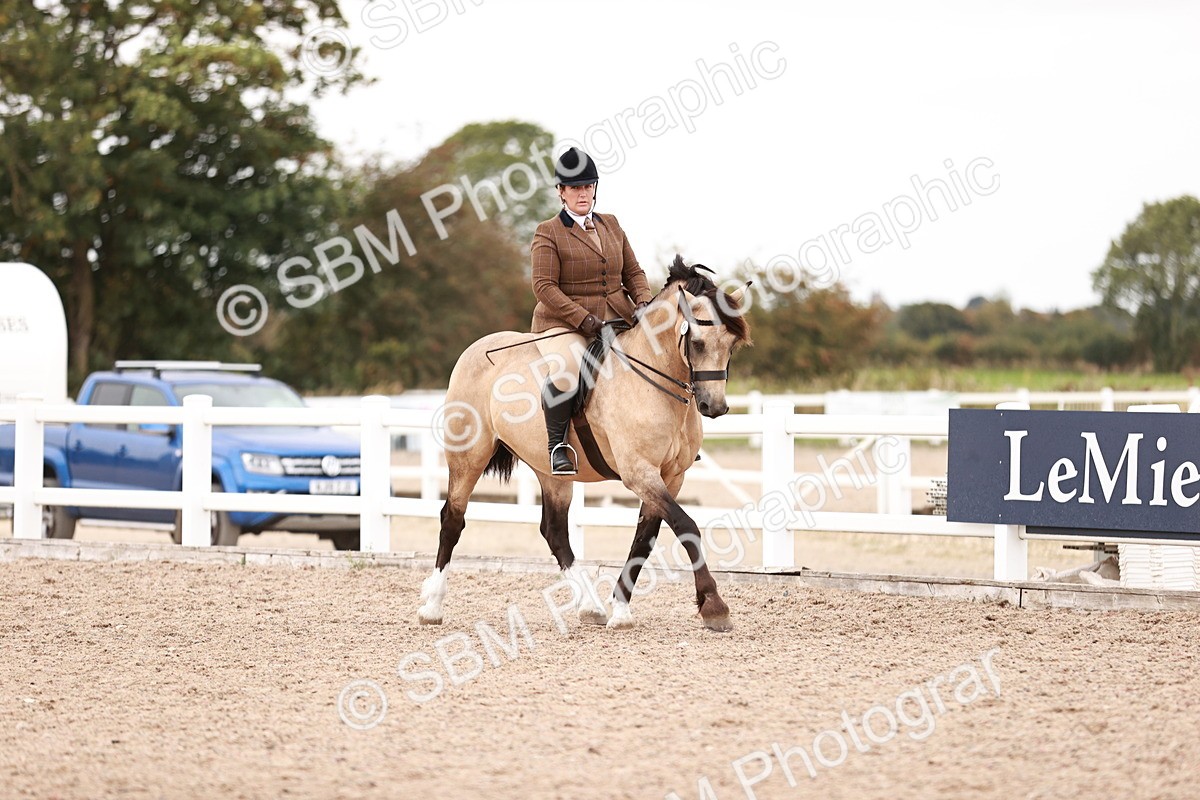 SBM_19072 - Class 422 - Ridden M&M