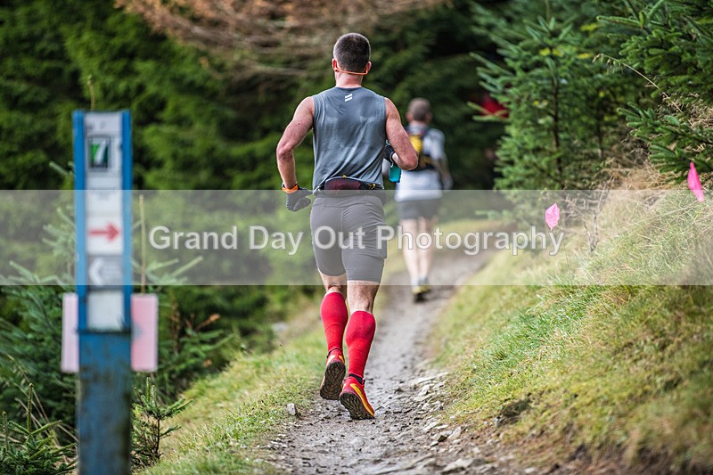 Glentress 21  10K-66 - High Terrain Events Glentress 21 & 10K Trail Races Saturday 16th November 2024