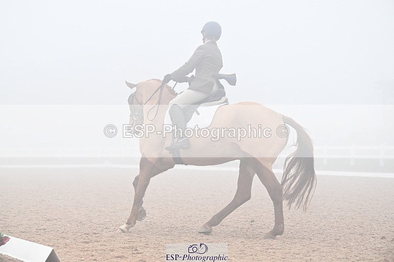 240217A-130524-02753 - 239-Sophie.Hawke-Dionysus