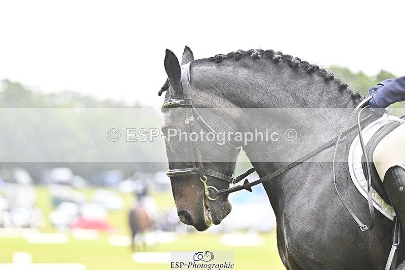 240824X-090601-21104 - D70 Section A and B 8.30 to 9.30