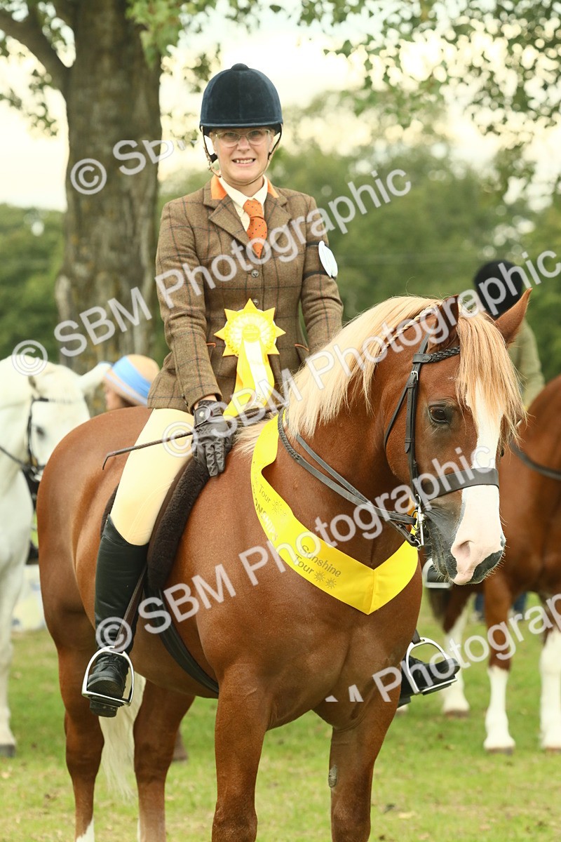 SBM_72299 - S60 - Mountain & Moorland Ridden Large Breeds