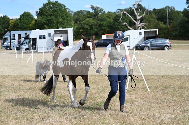 WJ7_8028 - In-hand Championship