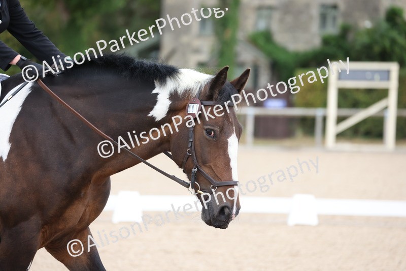 20250820-0010 - Class 1 - Team Quest Intro 2