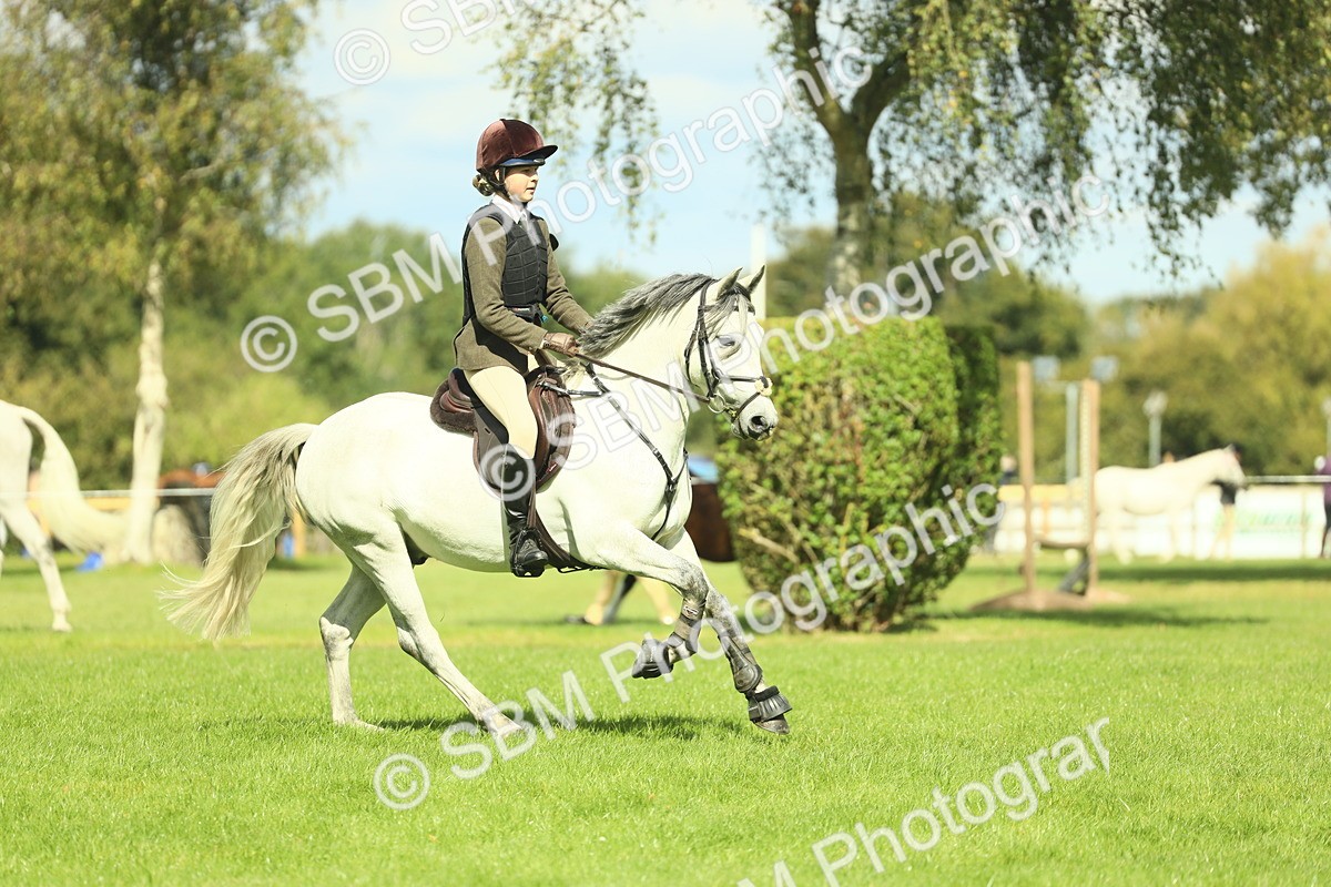 SBM_42939 - S30 - M&M Working hunter Pony