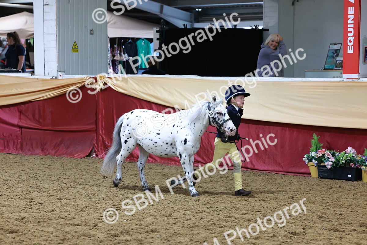 SBM_19930 - Class A - Junior Champ 10yr and Under