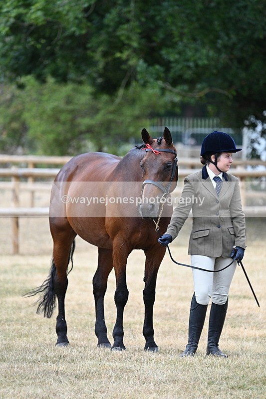 WJ7_1838 - Class 4a Prettiest Mare 14.2hh and over hand