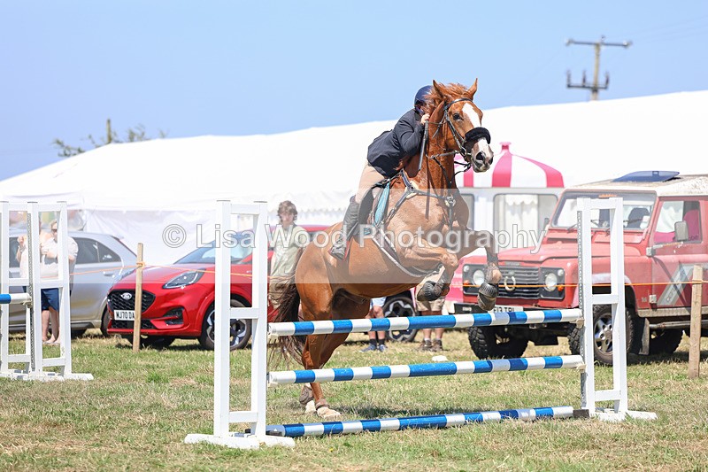 3E7A4423 - Class 10: Senior British Novice/90cm open
