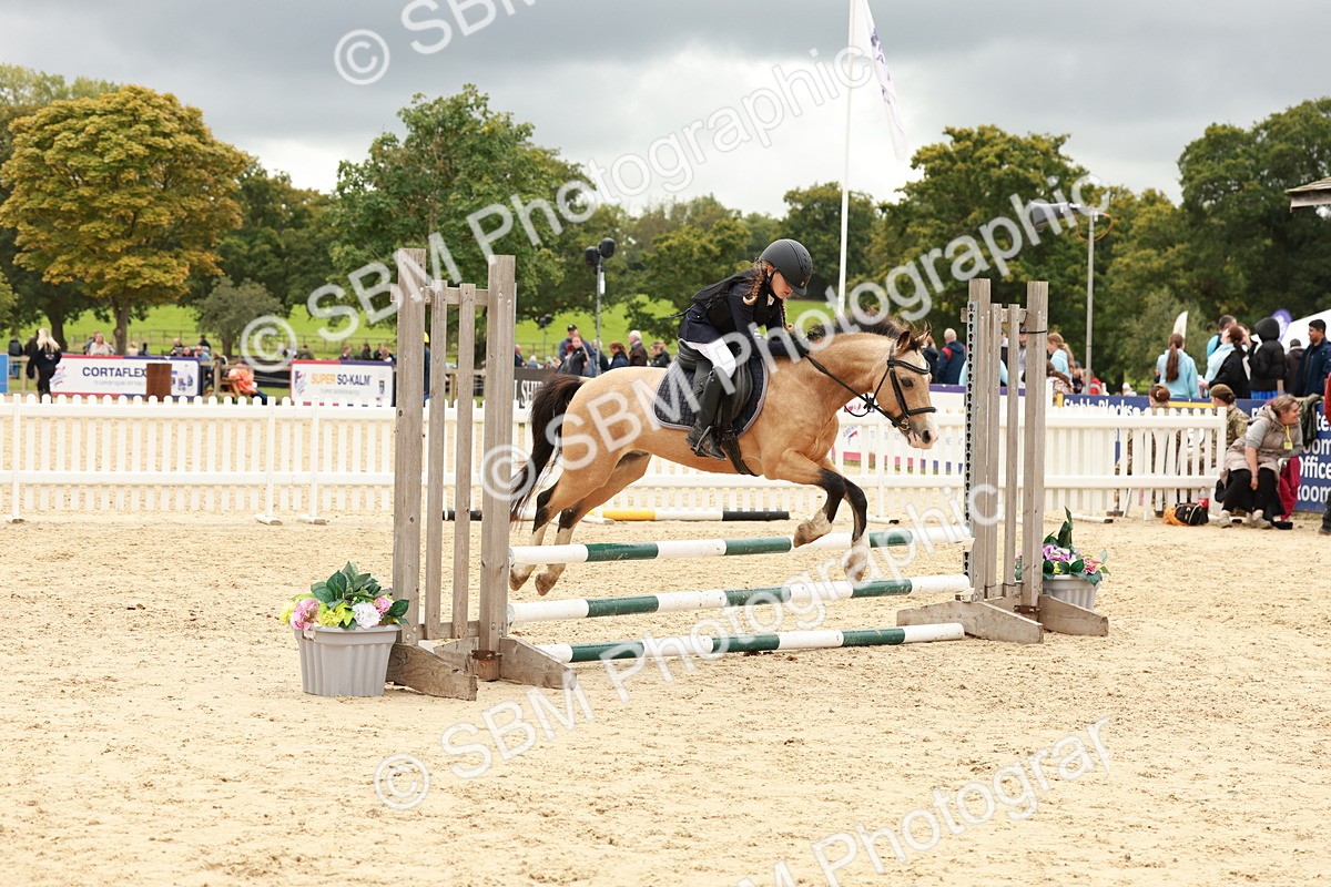 SBM_62100 - J12 - Junior Pony 55cm Championship