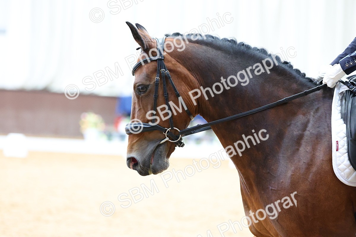 SBM_016030 - Class 15 - Novice FSM - 9.50 - 11.10