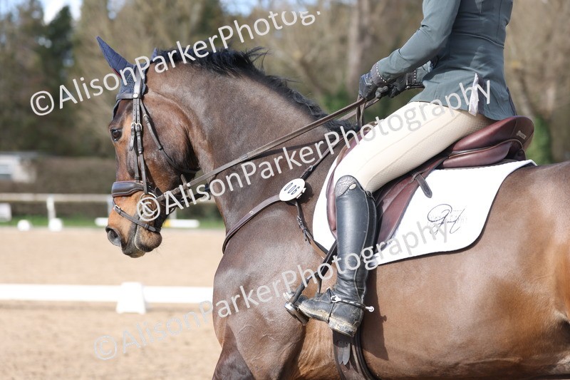 20260228-0744 - Class 5 - Novice 2