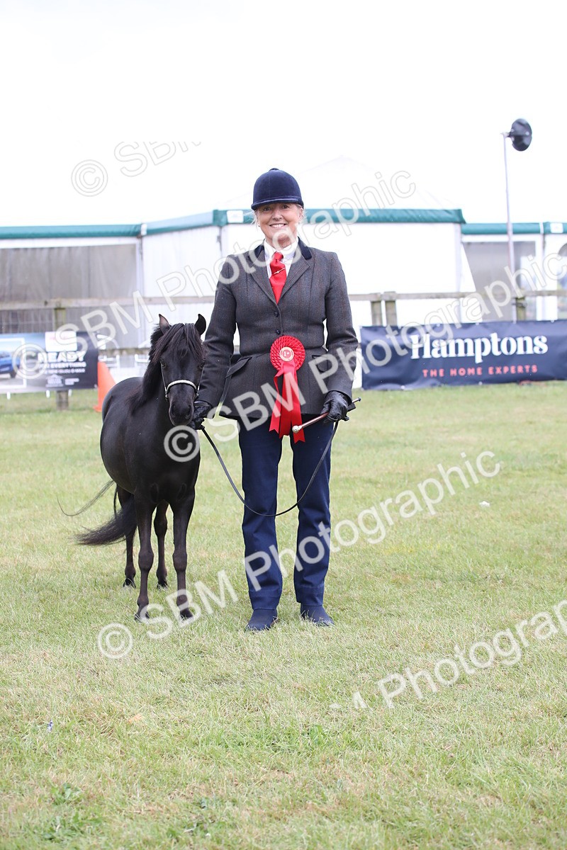 SBM_03535 - Class 23-25 - British Miniature Horse of the Year