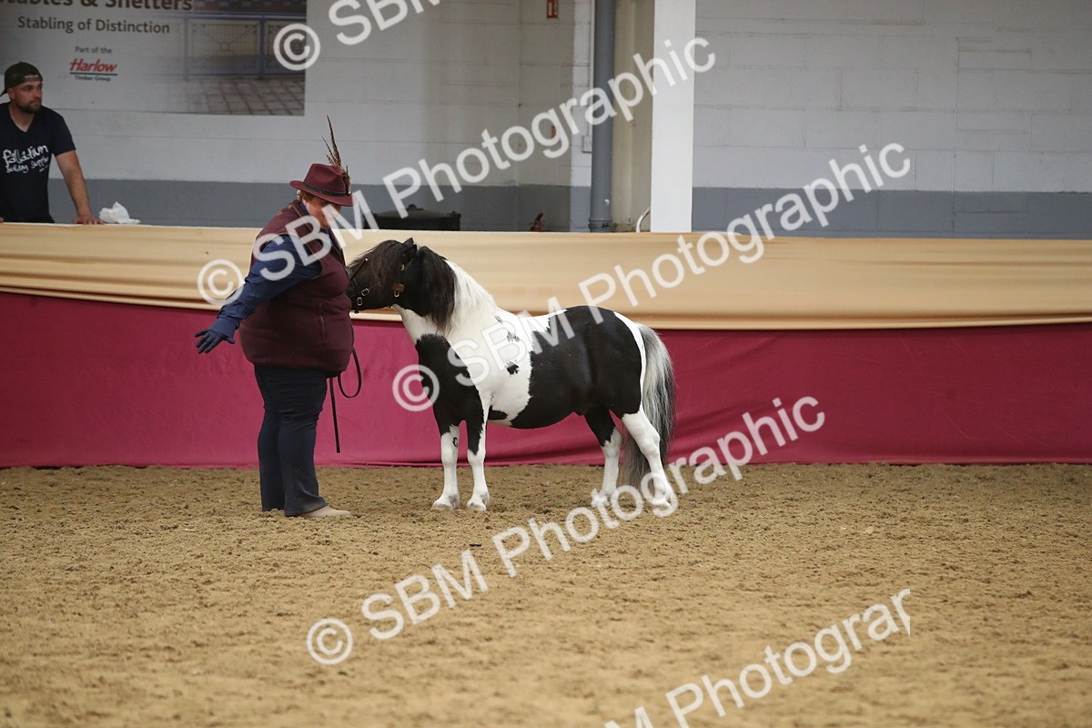 SBM_05726 - Class 9R - Regional IH Pre-Vet