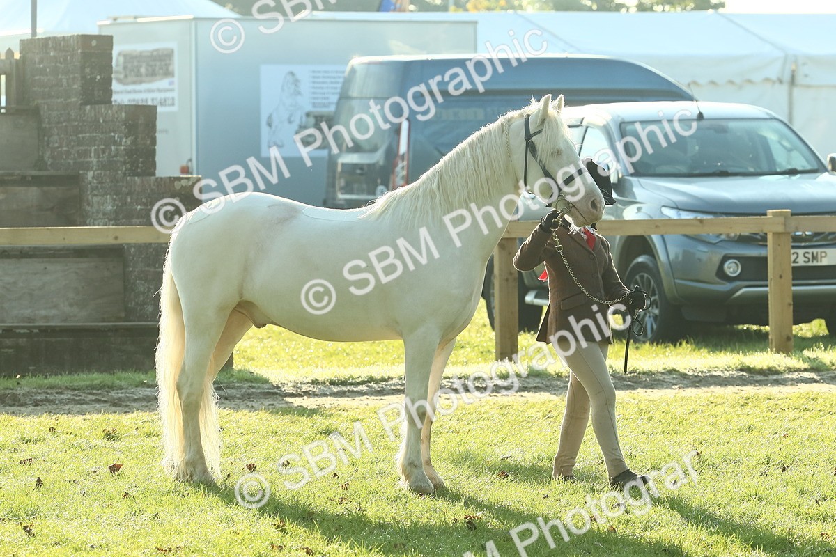 SBM_57379 - S37 - Starters In Hand Showing