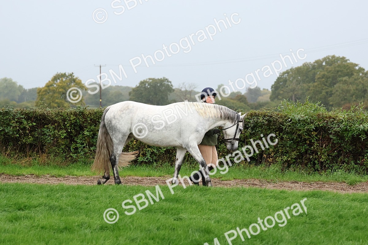 SBM_35230 - S10 - Best In Hand Horse & Pony