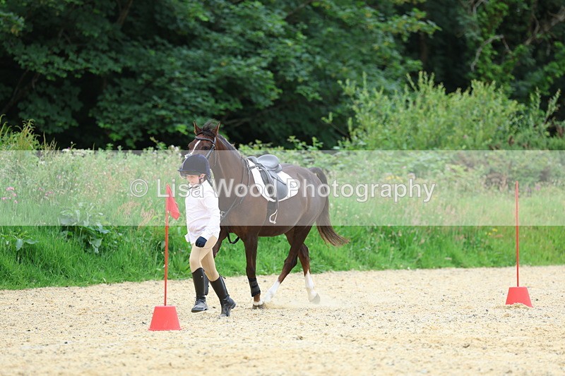 3E7A9442 - Walk trot run