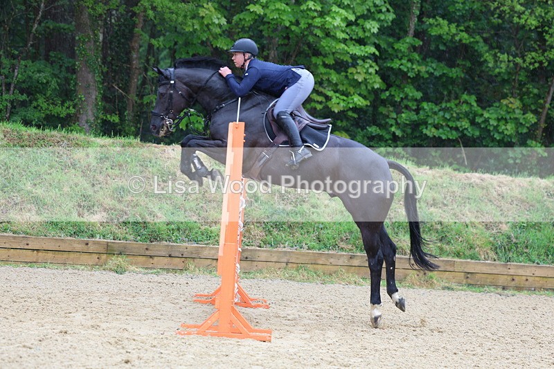 3E7A7345 - Class 8: Senior Foxhunter/1.20 open