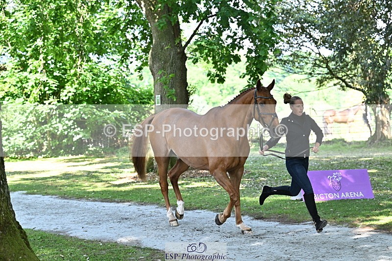 250521A-154443-00728 - B-360-Lucy.K.Wheeler-KING.CREOLE.VD.N.RANCH