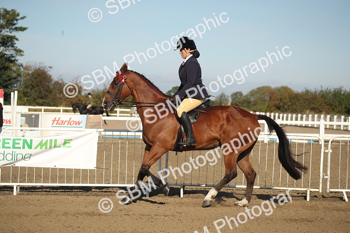 SBM_11320 - Class 501 -Riding Club Pony