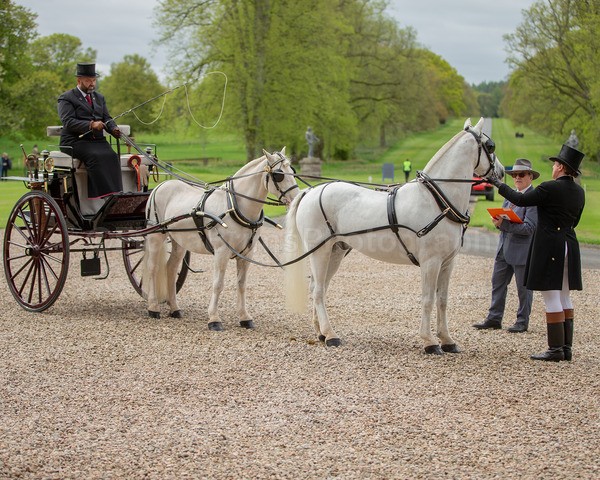 Attelage -219 - CIAT Glamis 2026