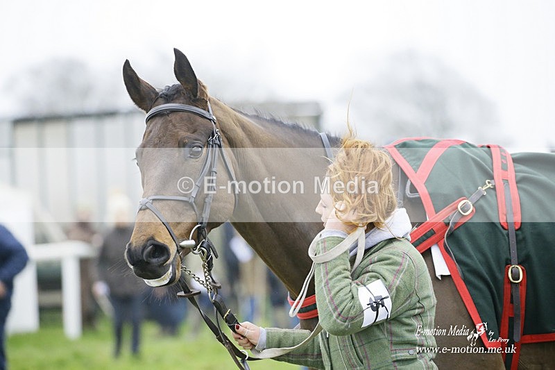 PtP 200222 539 - Countryside Alliance PtP Badbury Rings 20/02/22