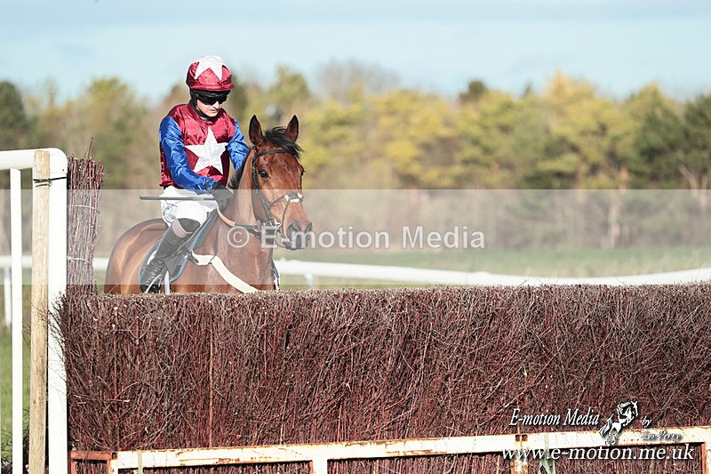PtP 301125  0307 - Hursley Hambledon Point-to-Point Larkhill Racecourse 30/12/2025
