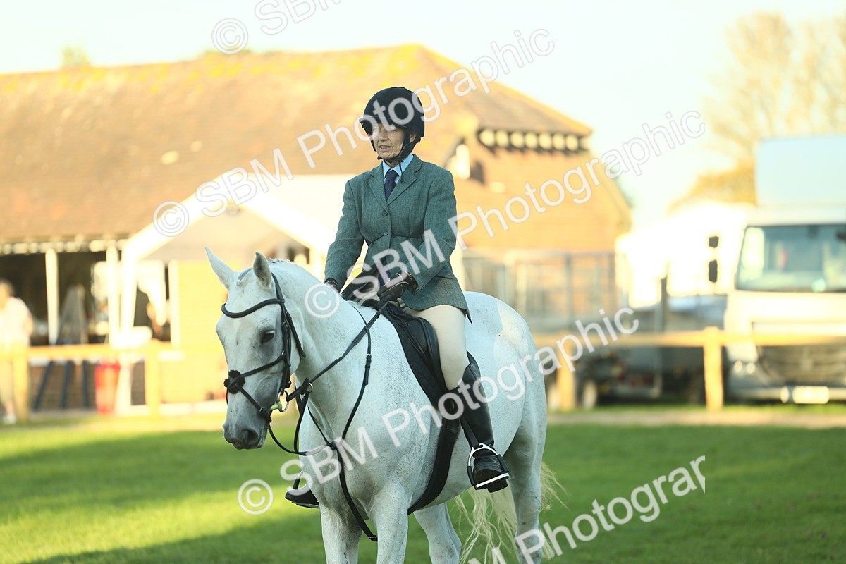 SBM_56421 - S14 - Riding Club Horse