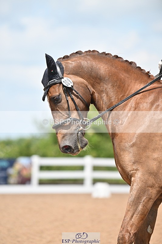 240621A-122244-02111 - Cls 7 BD Elementary 45