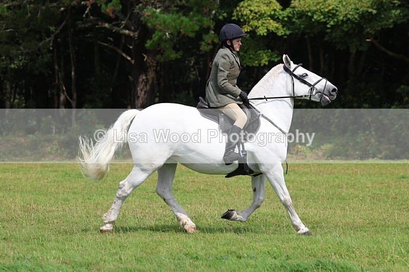 3E7A5989 - Class 28: 75cm Working Hunter