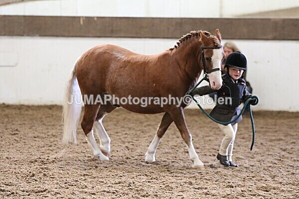 SIAL0521 - Small Arena - Saturday