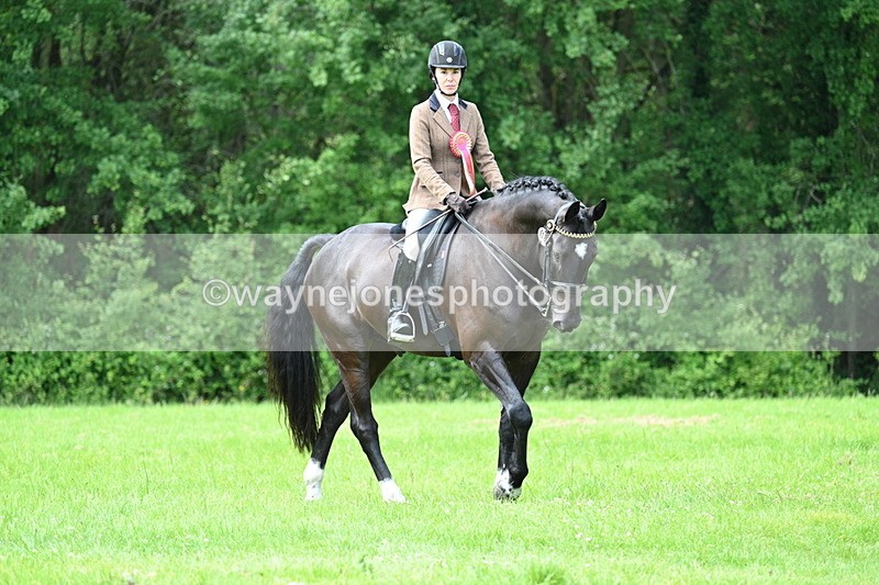 WJ7_1623 - Class 11 Condition & Turnout