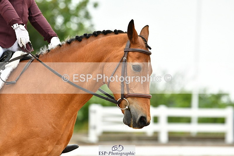 230708A-114402-02606 - Prelim 13