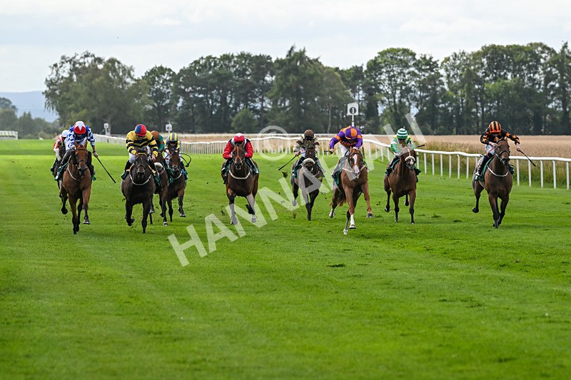 080825-Race 4-Equity Law-2317 - Race 4