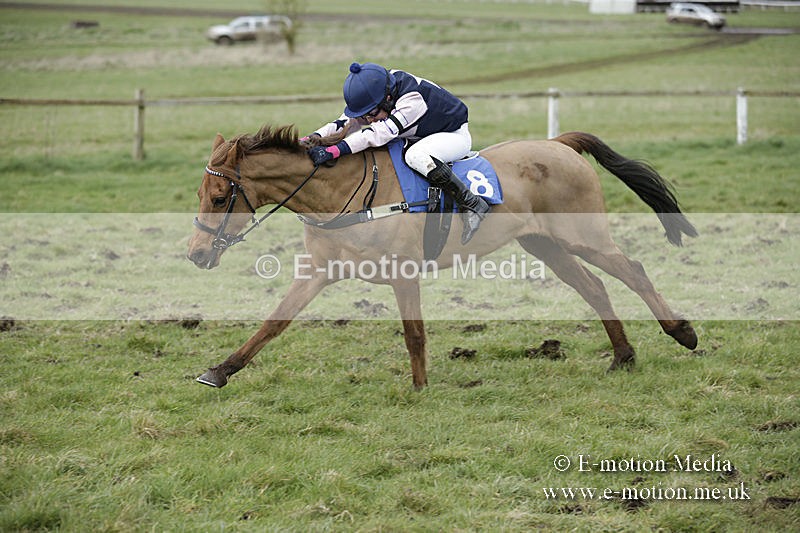 PtP 150320 0788 - New Forest Point-to-Point Larkhill 15/03/20