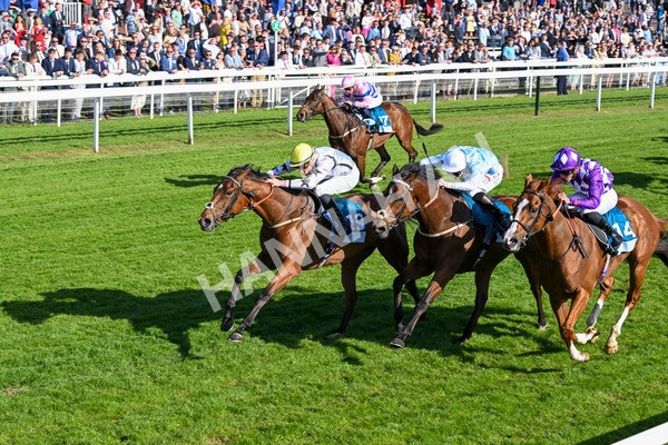 160525-Race 7-Delicacy-7444 - Race 7 5.30pm Yorkshire Equine Practice Handicap