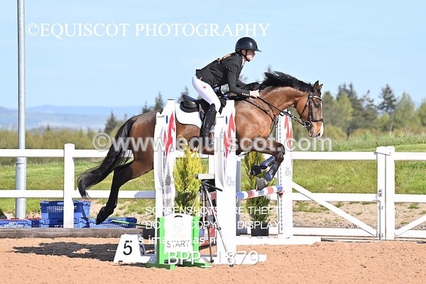 BPP_1879 - CLASS 2 - FRI - KBIS Club Senior 80cms