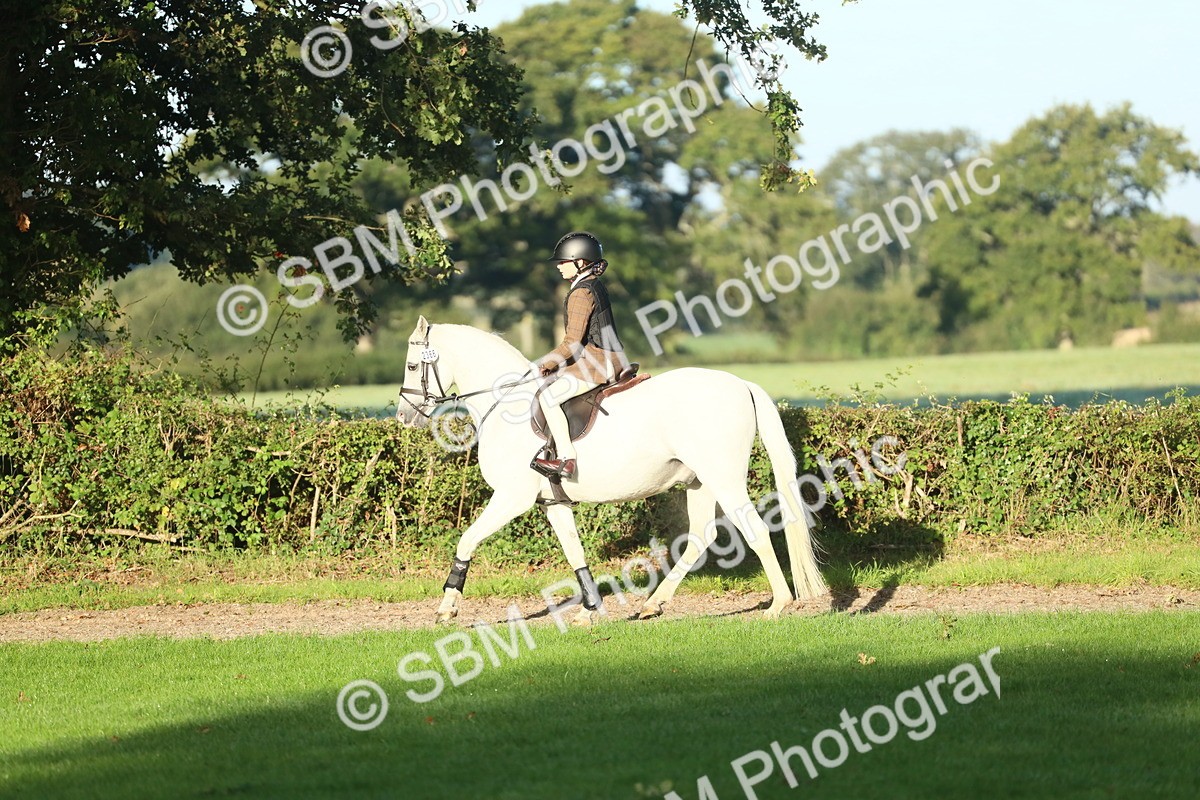 SBM_31953 - S28 - Nursery Stakes Working Hunter Pony