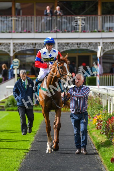 150723-Race 6-Robert Johnson-0653 - Race 6 4.55pm John Smith's Stayers' Handicap