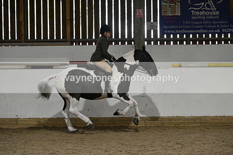 WJ7_4088 - Class 17 Ridden Cob