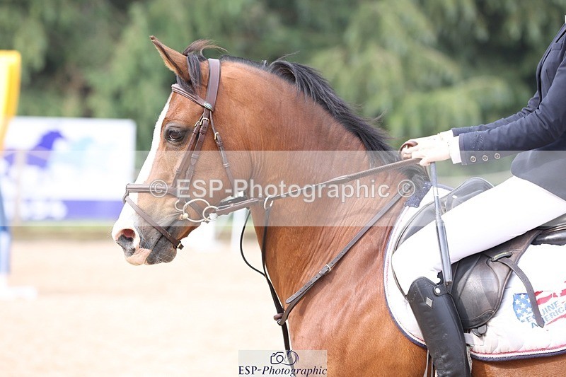 230618-092220-09611 - Cls 19 Pony Intro 1m