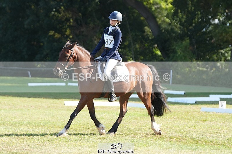 250823A-094513-26634 - Arena B