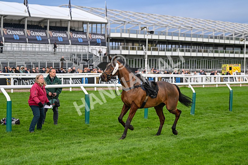 171124-Race 4-Ballygrifincottage-3524 - Race 4