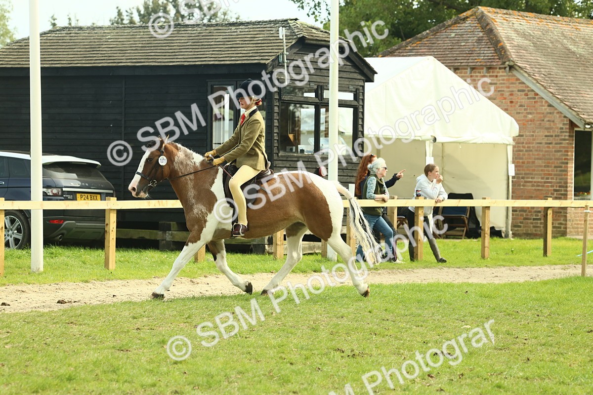 SBM_68113 - S57 - Part Bred Pony Ridden