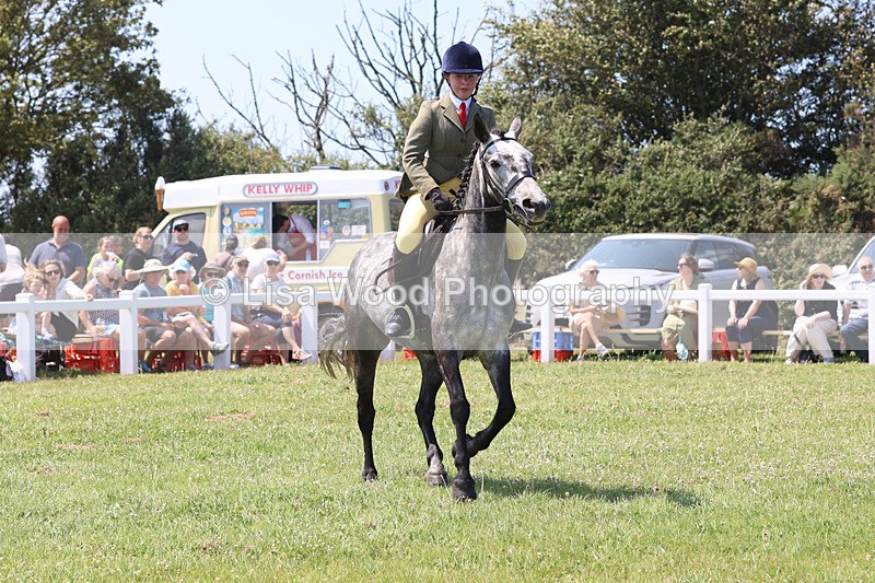 JPP_2828 - Class 21: Working Hunter 60cm