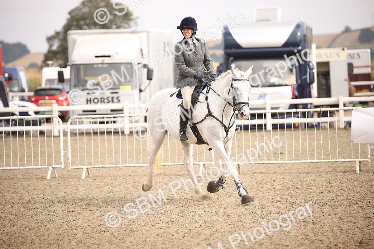 SBM_16117 - Class 408b - Working Veteran 70cm (20+)