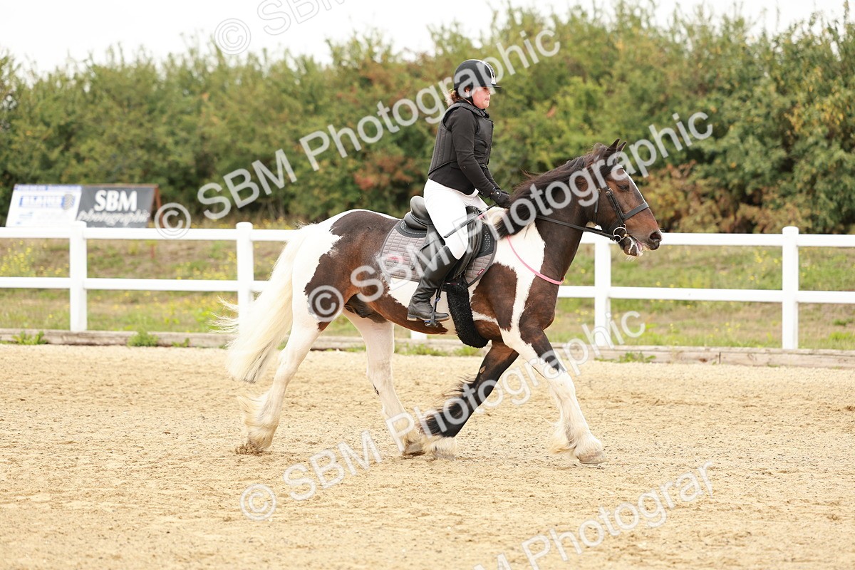 SBM_007230 - Class 2 - 50cm