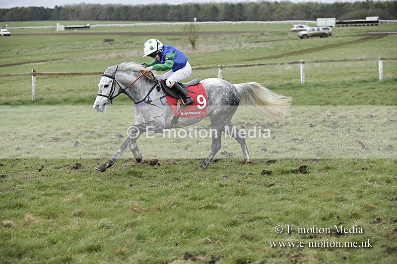 PtP 150320 0774 - New Forest Point-to-Point Larkhill 15/03/20